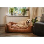 Panier et coussin pour chien – photo 2