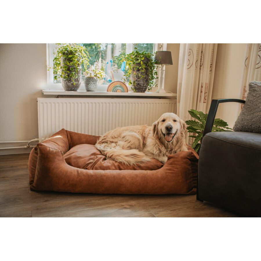 Panier et coussin pour chien – photo 2