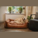 Panier et coussin pour chien – photo 5