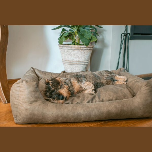 Panier et coussin pour chien – photo 6