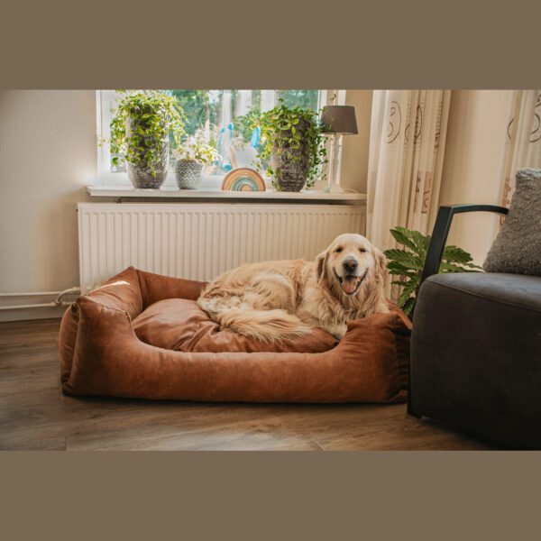 Panier et coussin pour chien – photo 8