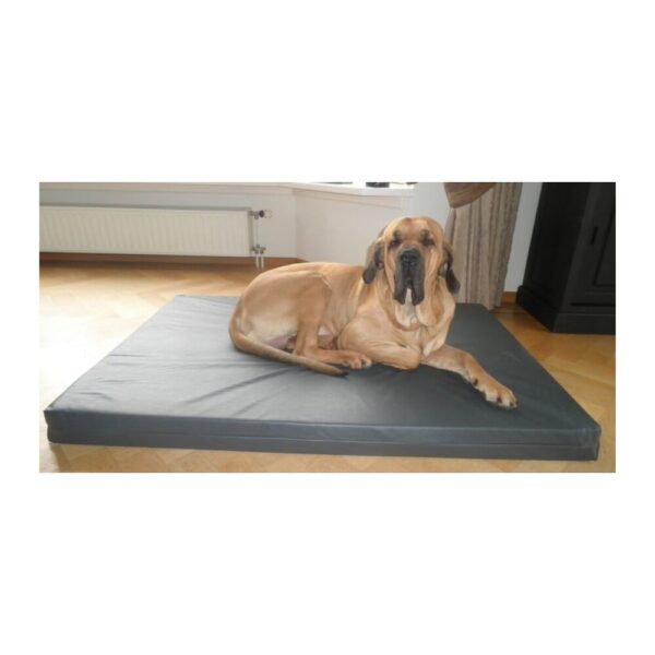Panier orthopédique chien – photo 1
