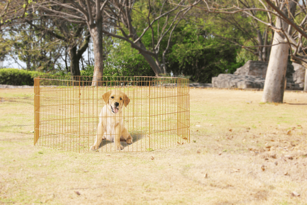 Parc pliable pour chien – photo 2