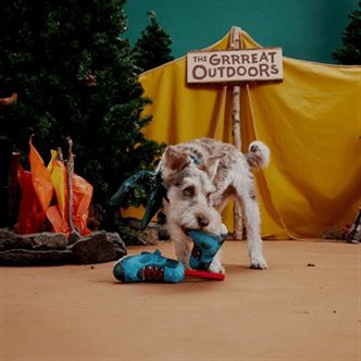 Peluche chien chaussures de montagne corde – photo 3