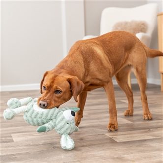 Peluche chien rayures verte – photo 4