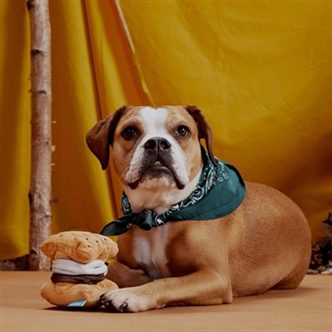 Peluche chien guimauve smores – photo 3