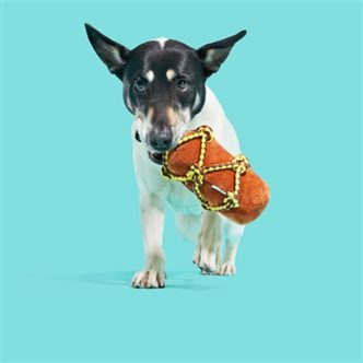 Peluche chien bouteille de rhum corde – photo 2