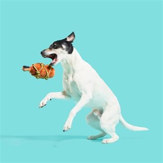 Peluche chien bouteille de rhum corde – photo 3