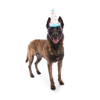 Peluche chien chapeau de fête élastique – photo 2