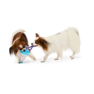 Peluche chien chapeau de fête élastique – photo 4
