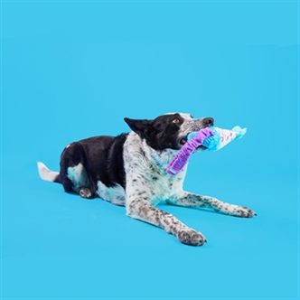 Peluche chien chapeau de fête élastique – photo 6