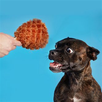 Peluche chien cuisse de dinde – photo 2