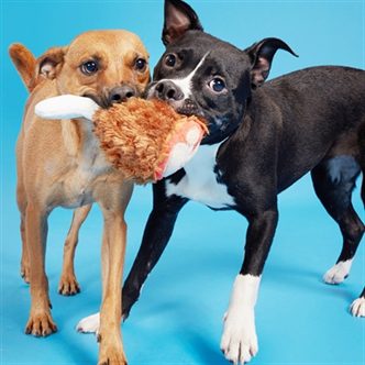 Peluche chien cuisse de dinde – photo 3