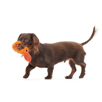 Peluche chien écrevisse – photo 4