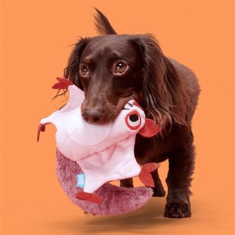 Peluche chien petit écureuil volant – photo 3