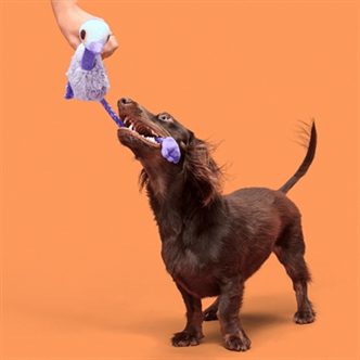 Peluche chien émeu pattes corde – photo 3