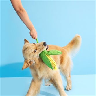 Peluche chien épi de maïs – photo 2