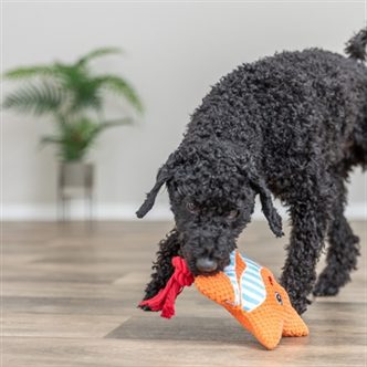 Peluche chien étoile de mer corde – photo 3