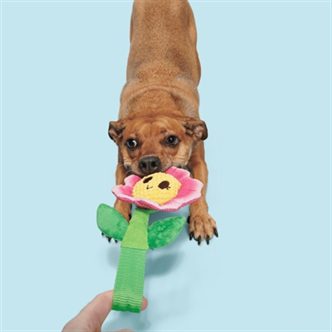 Peluche chien fleur nylon – photo 3