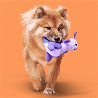 Peluche chien kangourou poche friandises – photo 2