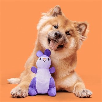 Peluche chien kangourou poche friandises – photo 3