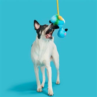 Peluche chien oie nénés – photo 3