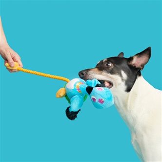 Peluche chien oie nénés – photo 4