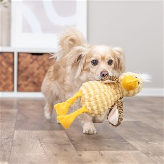 Peluche chien oiseau jaune – photo 3