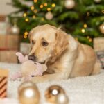 Peluche chien petit renne – photo 3