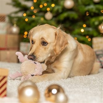 Peluche chien petit renne – photo 3