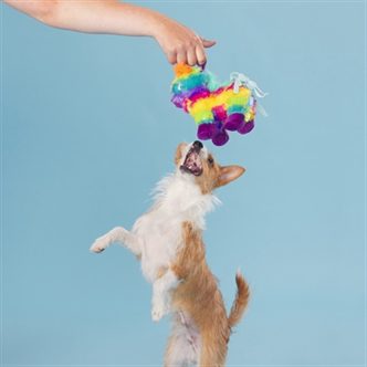 Peluche chien piñata – photo 4