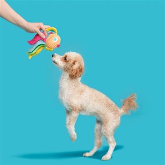 Peluche chien poisson arc-en-ciel – photo 2