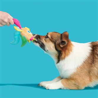 Peluche chien poisson arc-en-ciel – photo 3