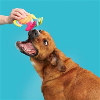 Peluche chien poisson arc-en-ciel – photo 4