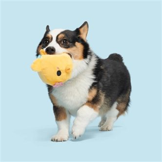 Peluche chien poussin – photo 3