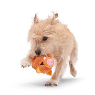 Peluche chien sanglier – photo 2