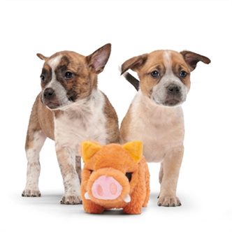 Peluche chien sanglier – photo 3