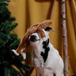 Peluche chien yéti – photo 3