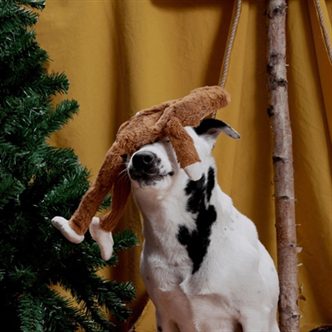 Peluche chien yéti – photo 3