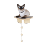 Plateforme d'angle murale pour chat AFP Skywalk – photo 1