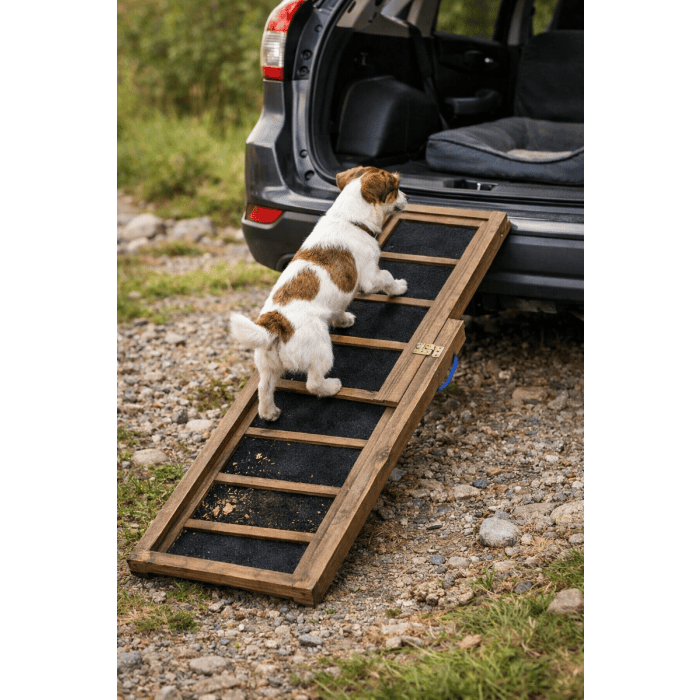Rampe voiture pour chien – photo 2