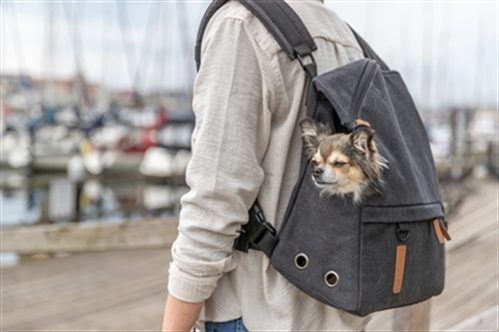 Sac a dos porte chien – photo 4