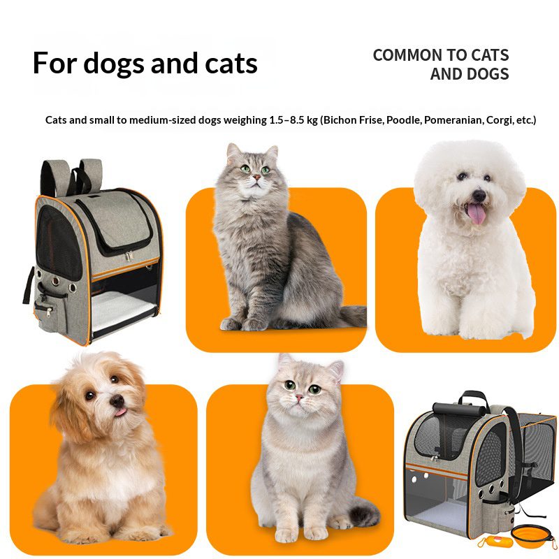 Sac à dos pour chats – photo 2