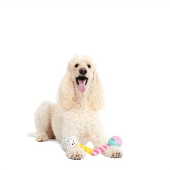 Peluche chien cupcake et donut – photo 3