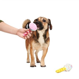 Peluche chien cupcake et donut – photo 4