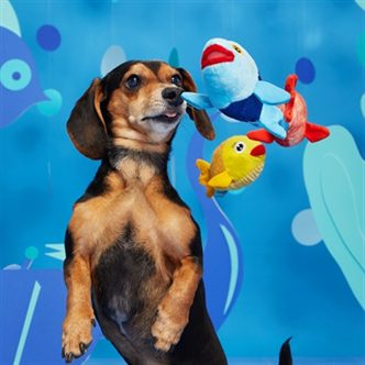 Peluche chien 3 poissons – photo 2