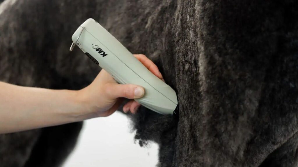 Tondeuse Wahl KMC+ pour chien – photo 2