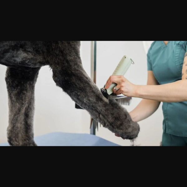 Tondeuse Wahl KMC+ pour chien – photo 3