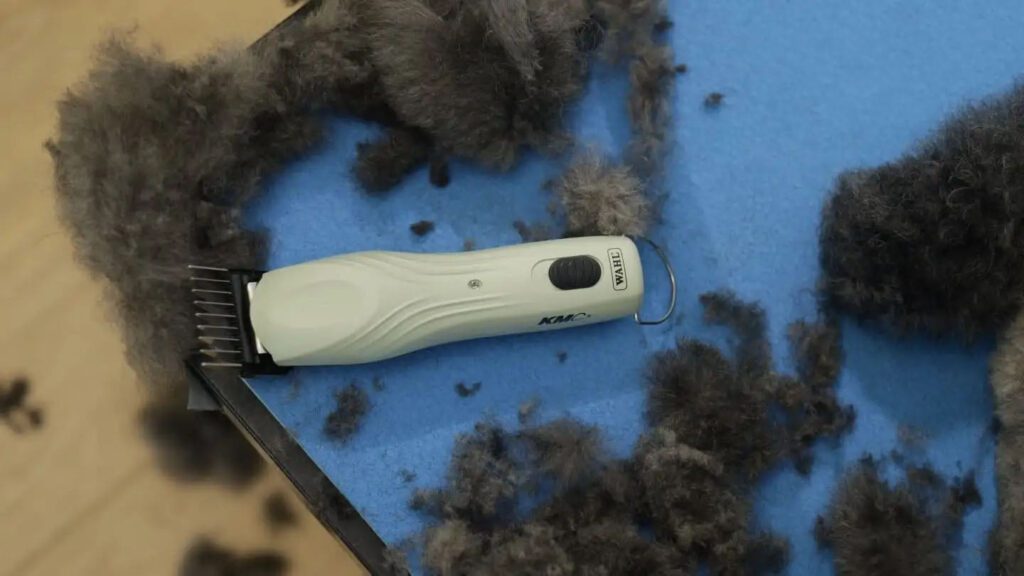 Tondeuse Wahl KMC+ pour chien – photo 4