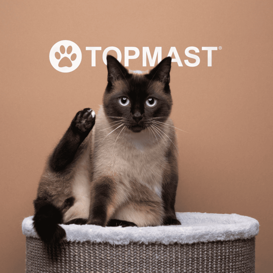 Tonneau griffoir chat – photo 2